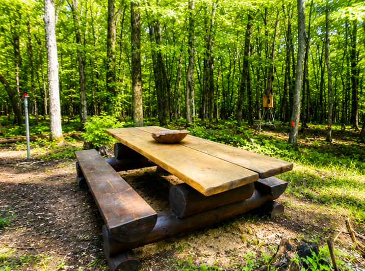 Rustic picnic table